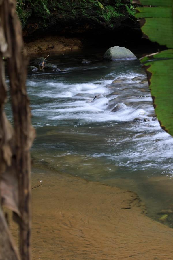 Villa Casa del Bosque La Fortuna Esterno foto